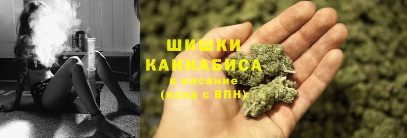 где купить наркотик  Волхов  Каннабис THC 21% 